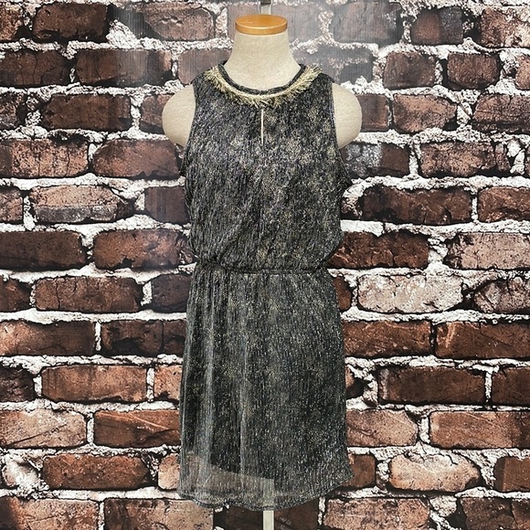 Grifflin Paris Blouson Dress NWT Metallic Sleeveless Keyhole Grey Size Small S - Picture 4 of 16